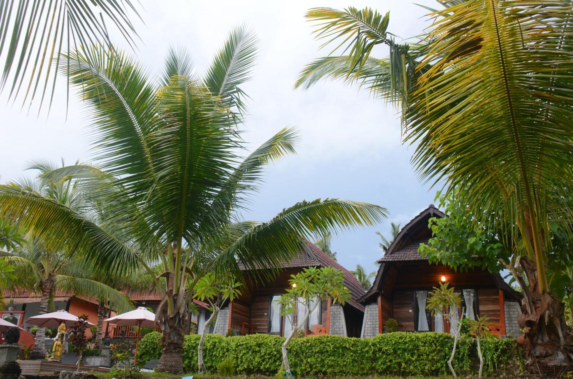 Mamaras Guest House Sakti Esterno foto